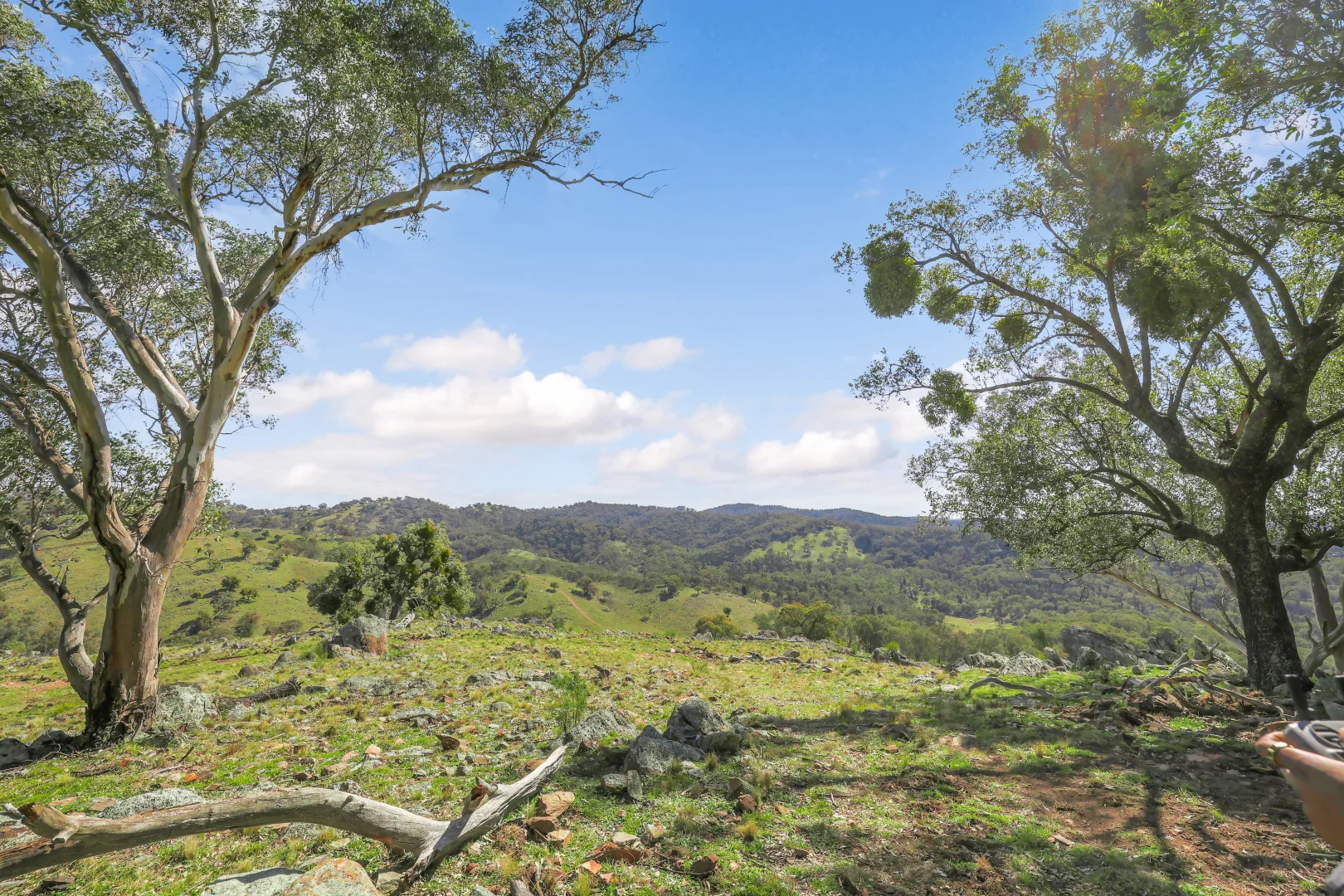 Additional image 11 of Gulgong NSW 2852