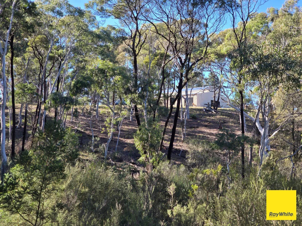 Additional image 13 of 270 Pine Bank Drive, Lower Boro NSW 2580