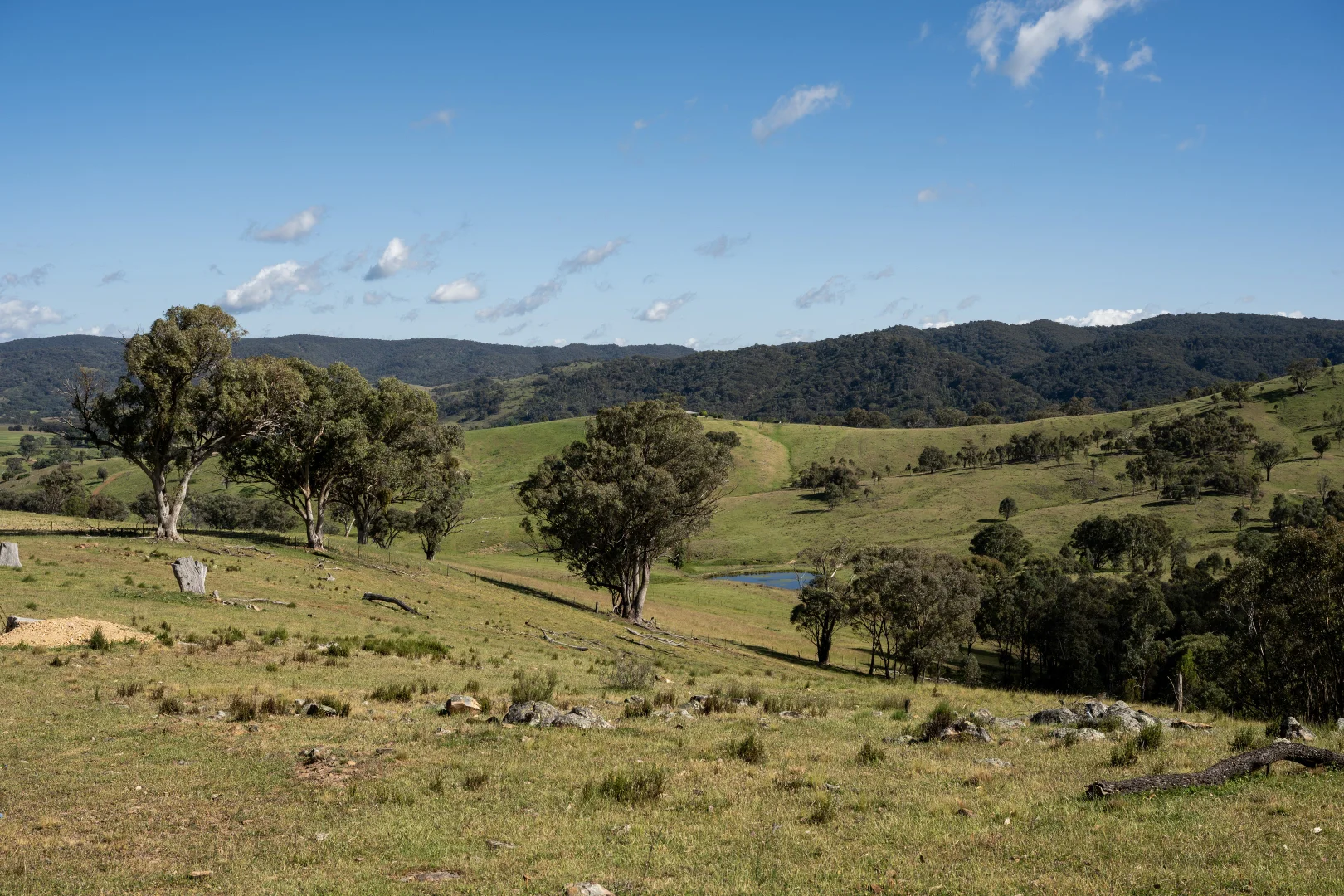 Additional image 4 of 1883 Queens Pinch Road, Mudgee NSW 2850