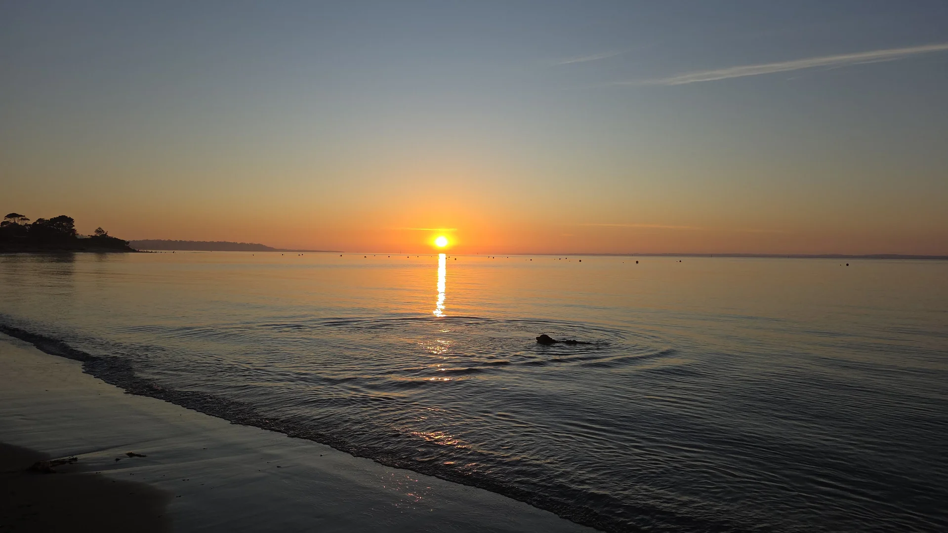Additional image 28 of 16 Tulum Court, Balnarring Beach VIC 3926
