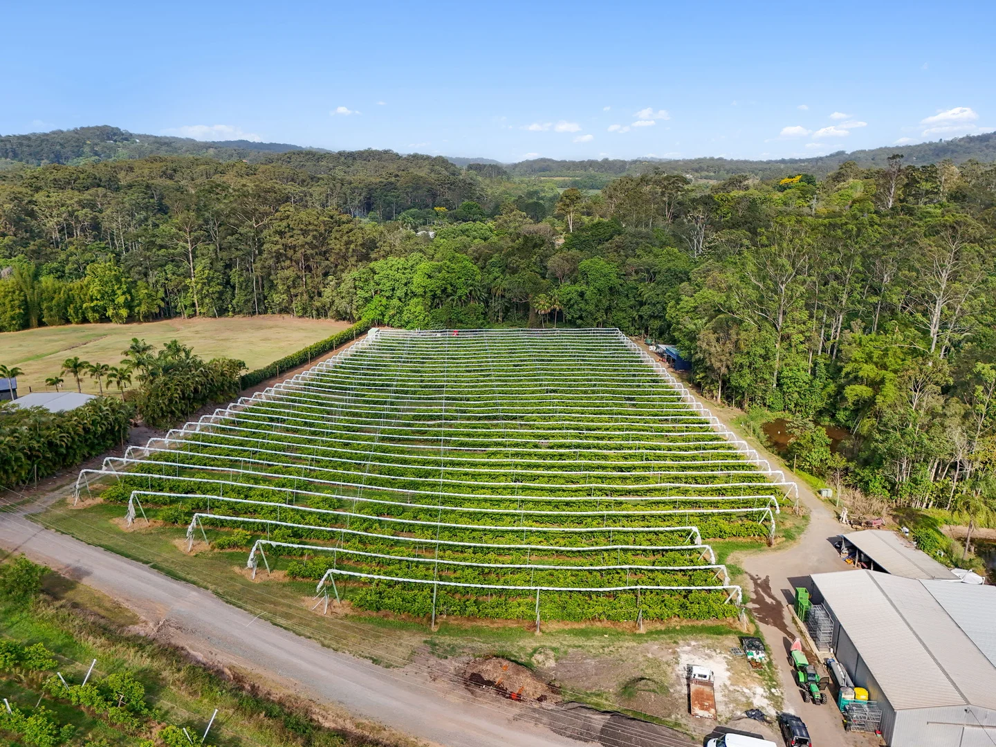 Additional image 3 of 43 Pringle Road, Rosemount QLD 4560