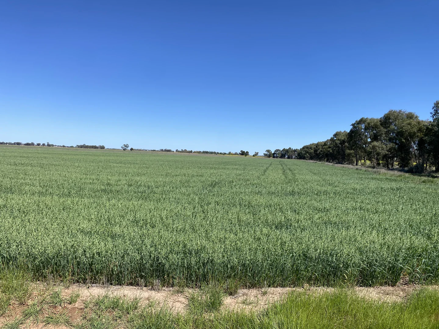 Additional image 3 of 102 Murrami Road, Murrami NSW 2705