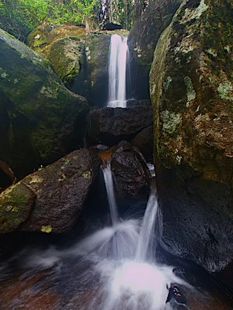 Additional image 19 of 28a Geissmann Street, Tamborine Mountain QLD 4272