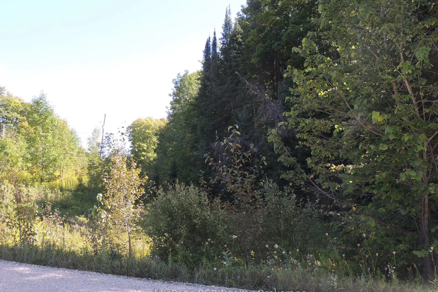 Additional image 7 of Lt 35 Highland Drive