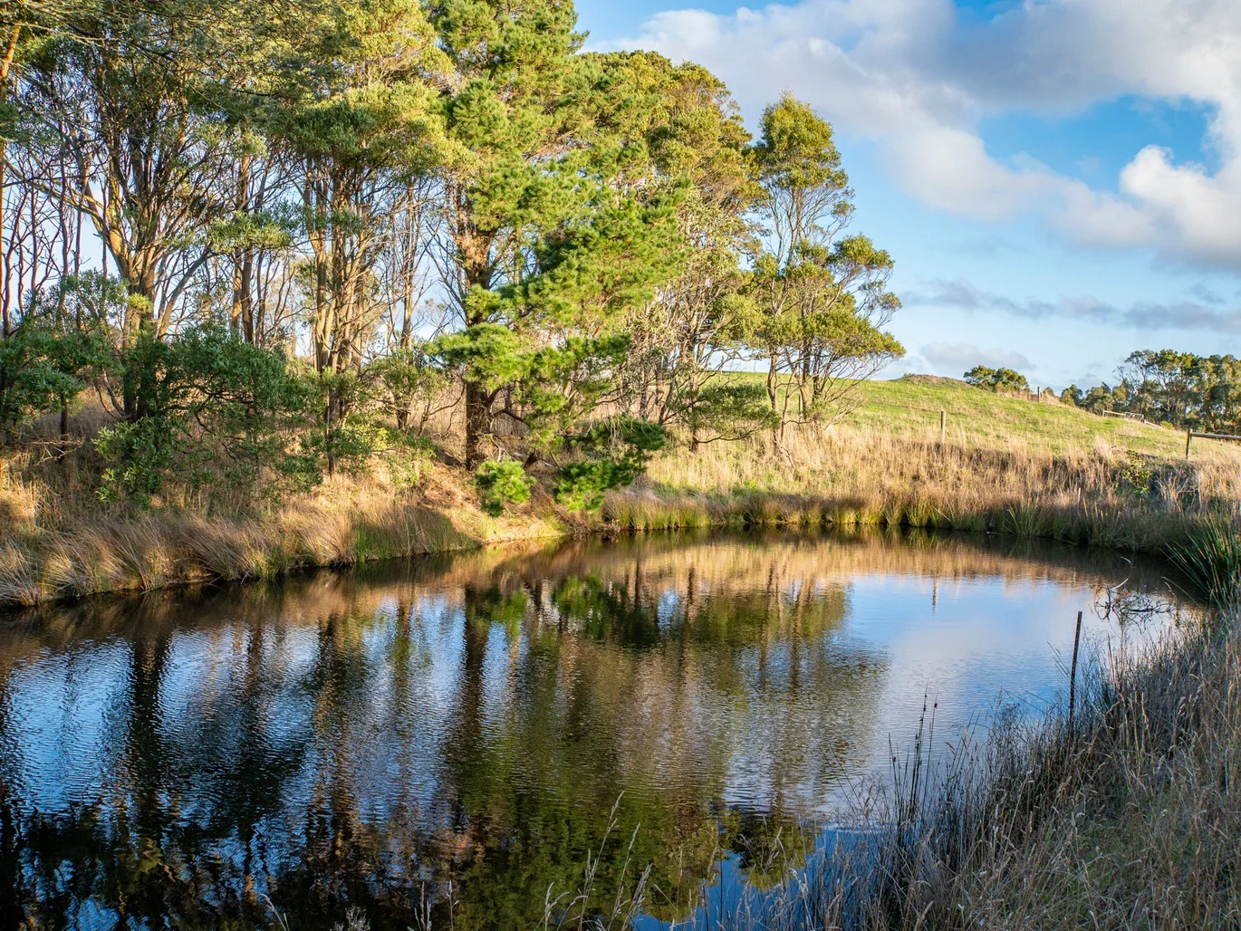 Additional image 25 of 2160 Meeniyan -Promontory Rd, Fish Creek VIC 3959