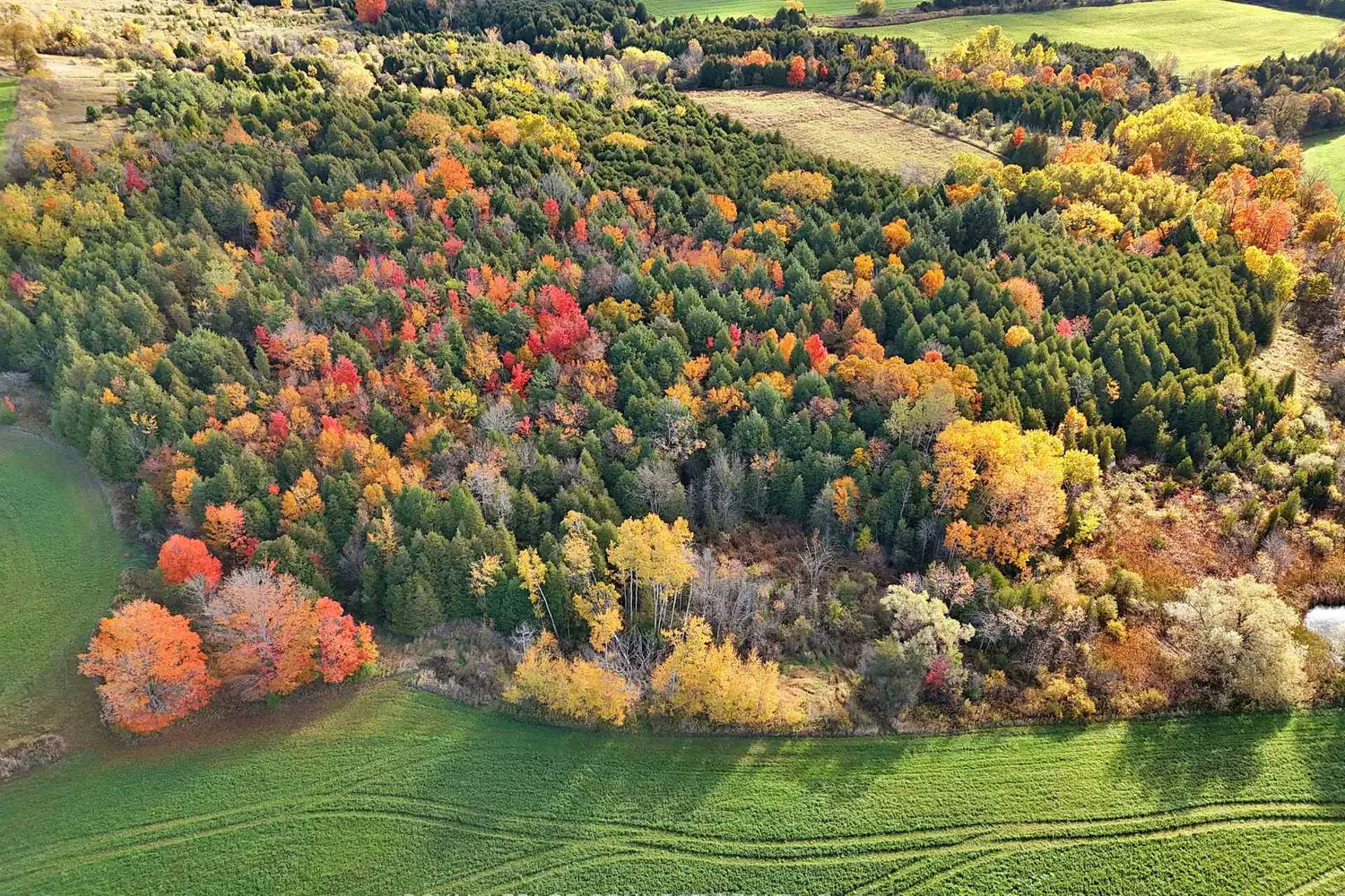 Additional image 3 of 2890 Concession Road 7