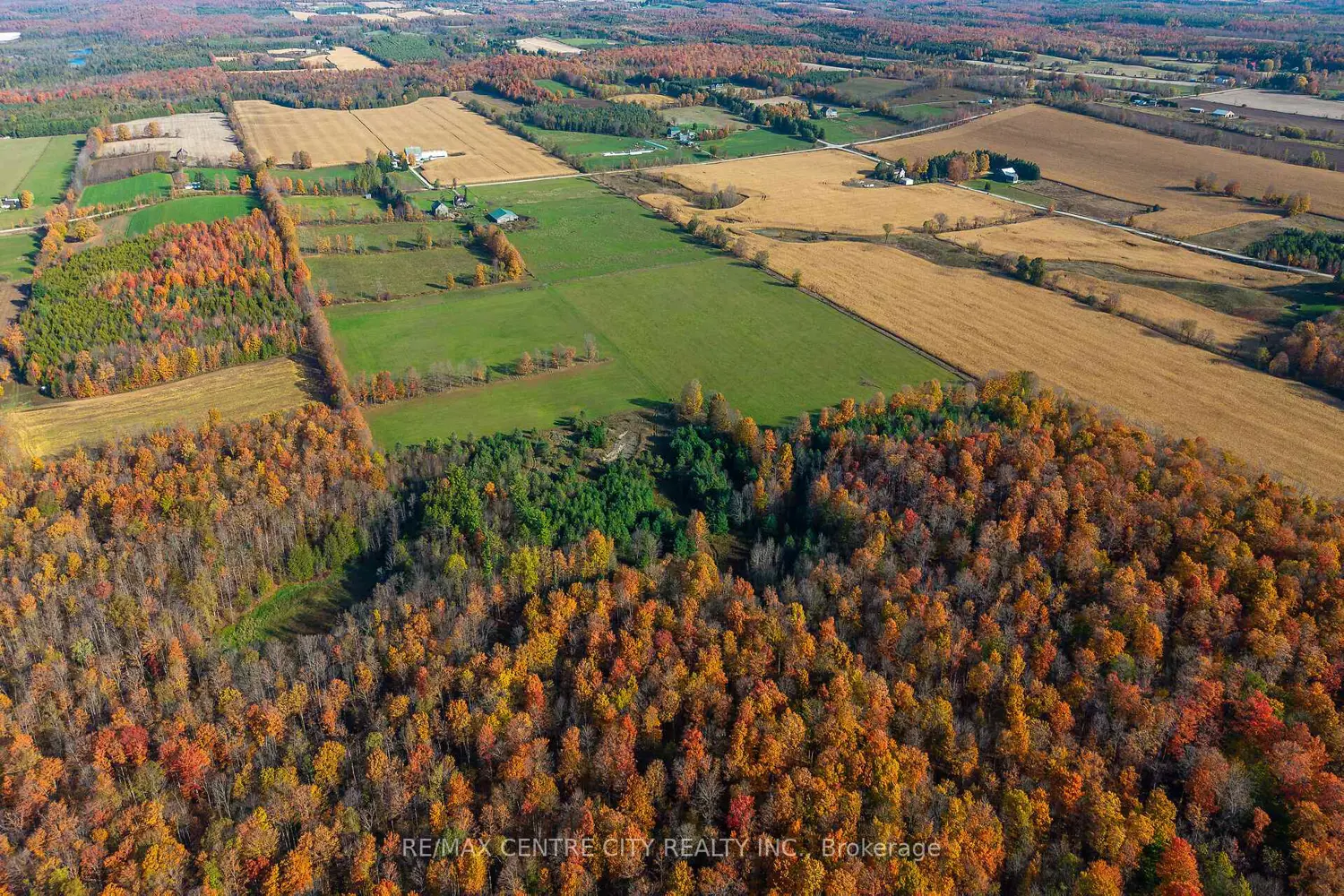 Additional image 6 of 442146 Concession Road 8