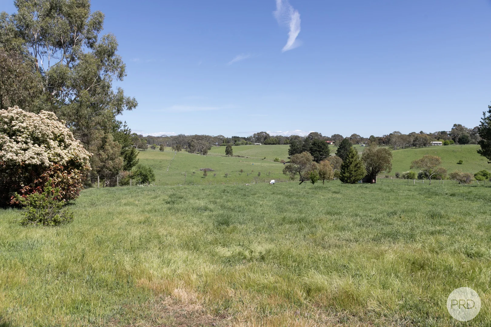 Additional image 9 of 25 Consols Court, Clunes VIC 3370