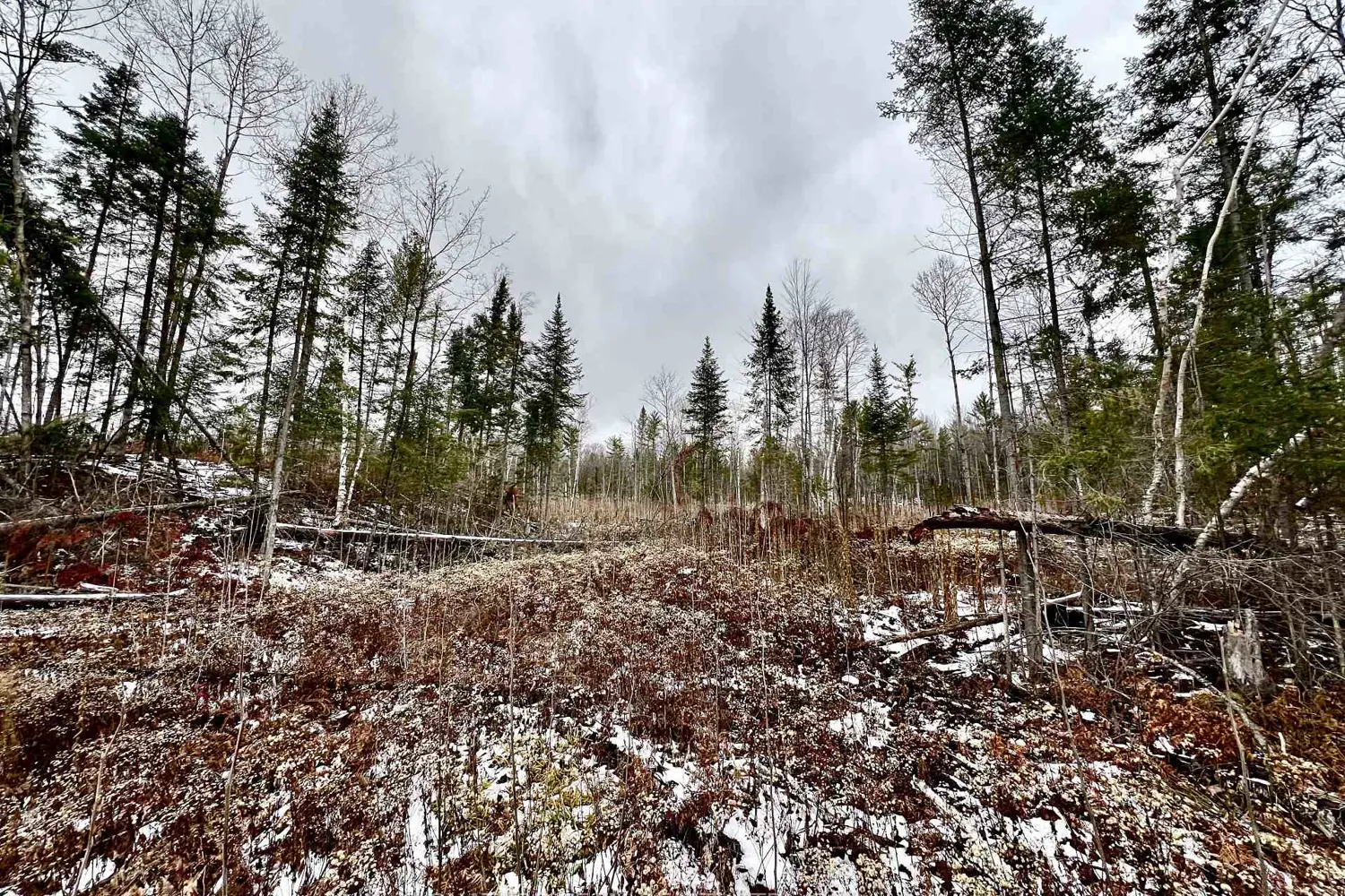 Additional image 9 of 744 Black Creek Road