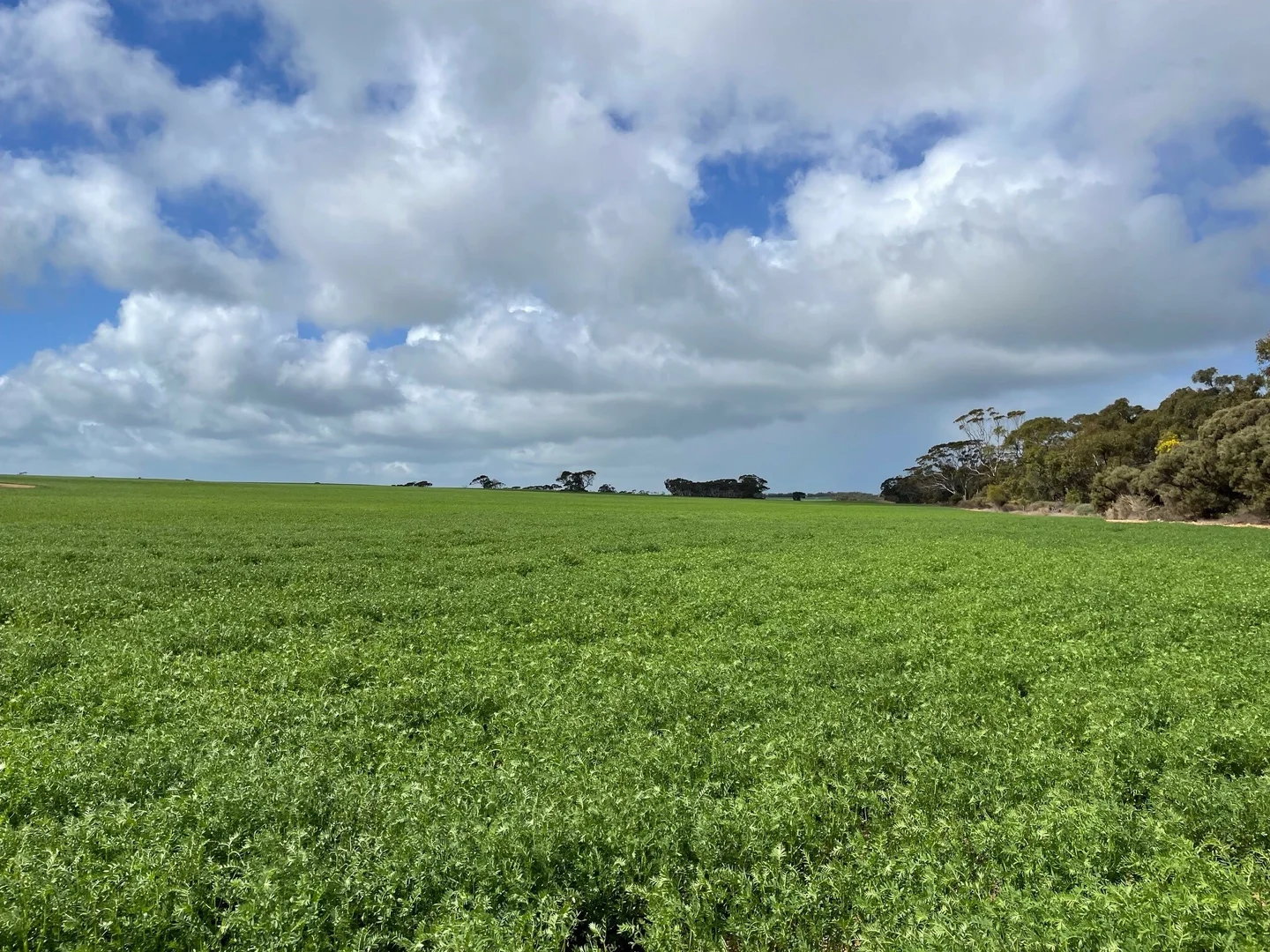 Additional image 7 of 110 Rodda Rd, Boors Plain SA 5554