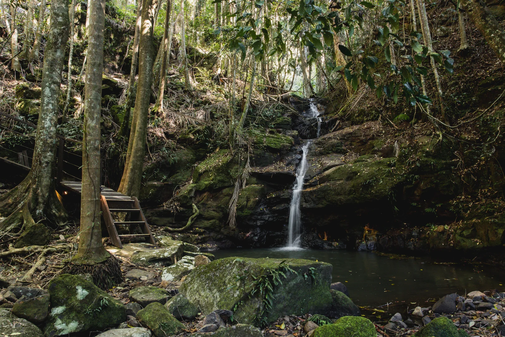 Additional image 33 of 55 Trail Road, Maleny QLD 4552