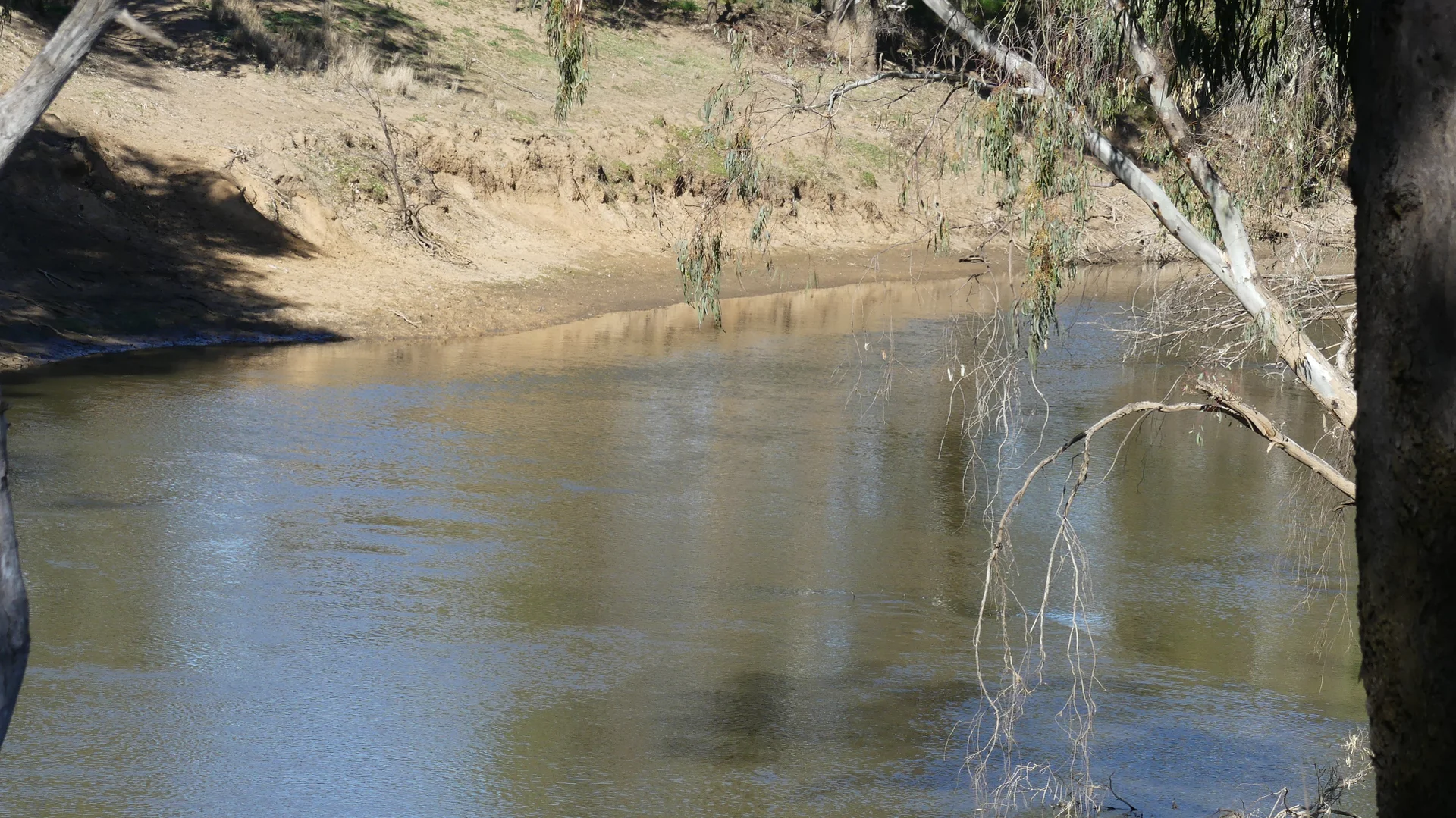 Additional image 5 of Warren NSW 2824