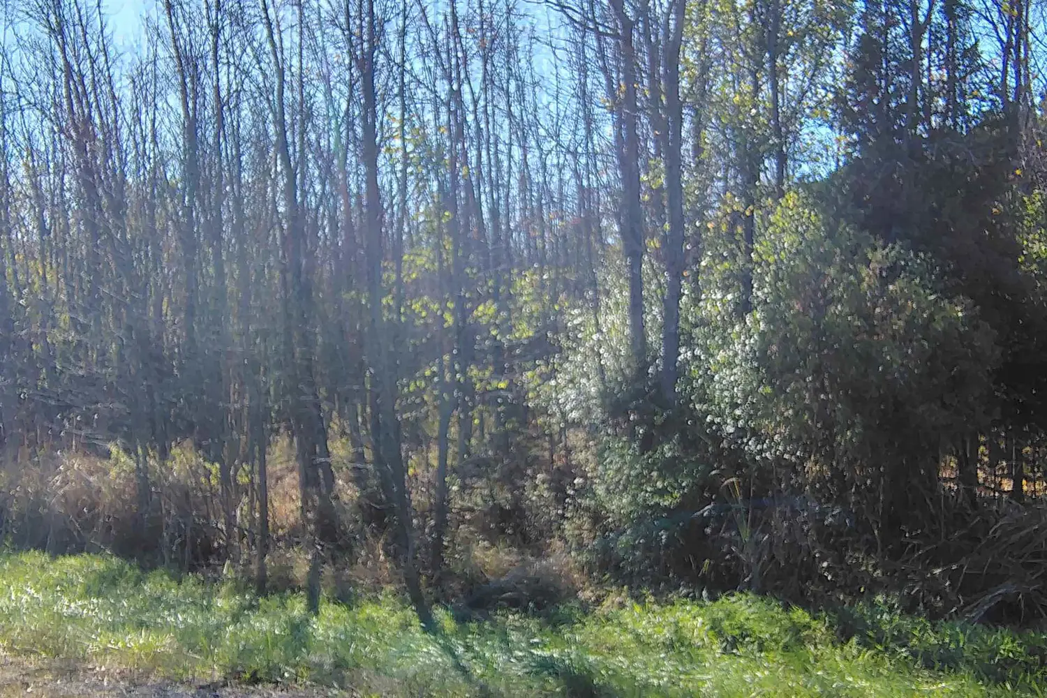 Additional image 13 of Na Aultsville Road