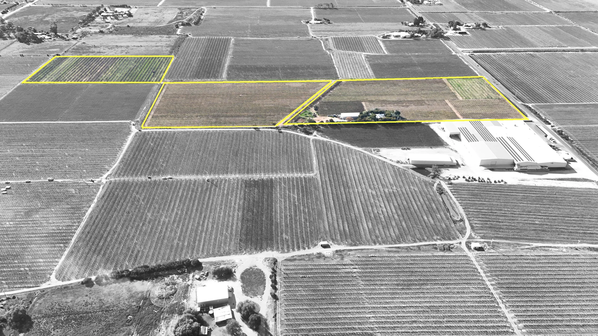 Additional image 6 of 419 North South Road, Woorinen North VIC 3589