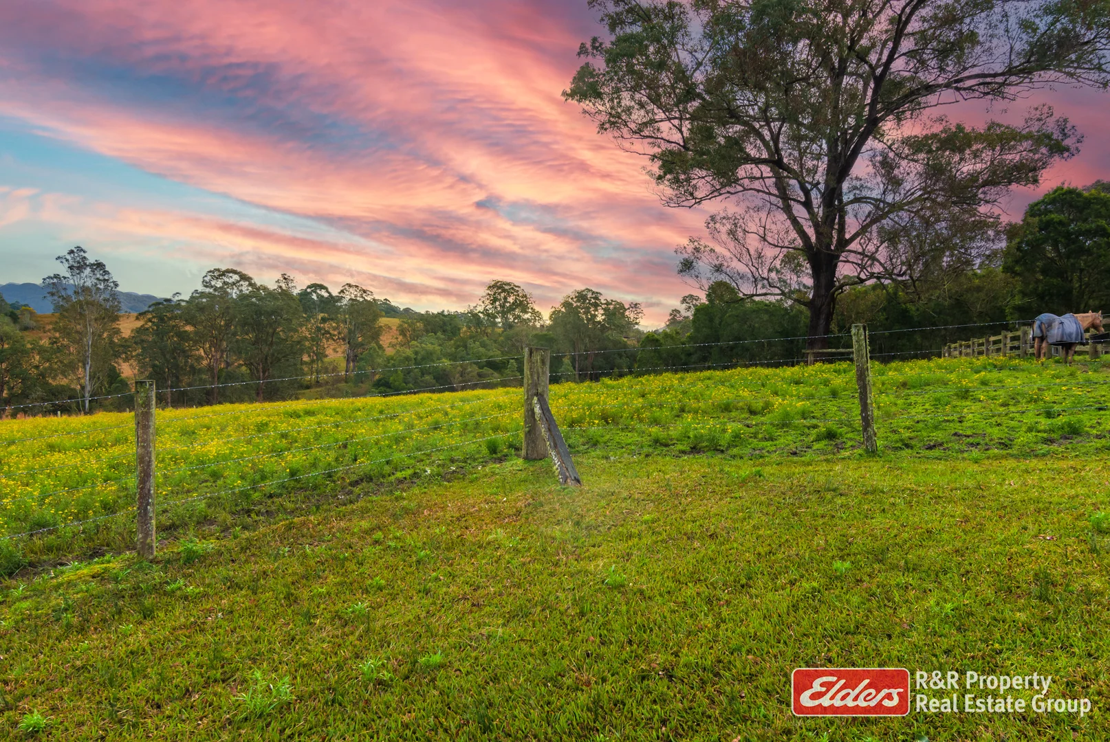 Additional image 29 of 4 Bede Street, Stroud NSW 2425