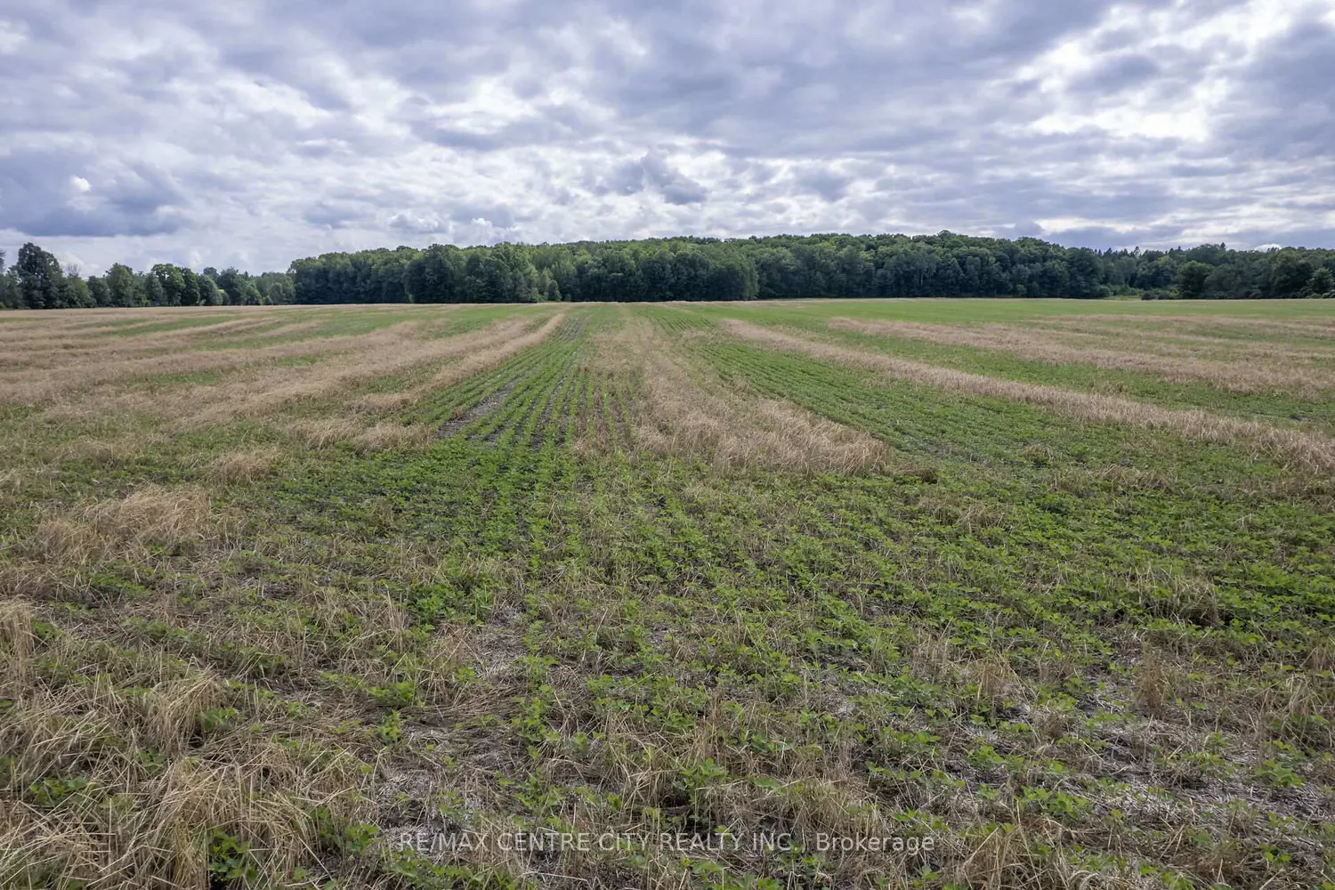 Additional image 19 of Pt Lts 38 & 39 Conc 9