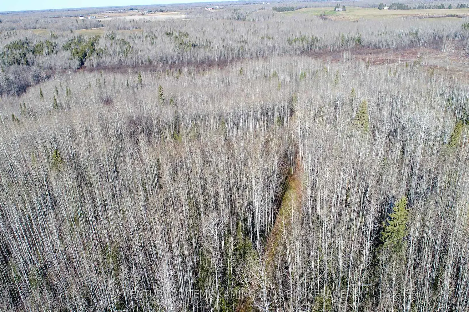 Additional image 12 of Pt 4 Cabin Road