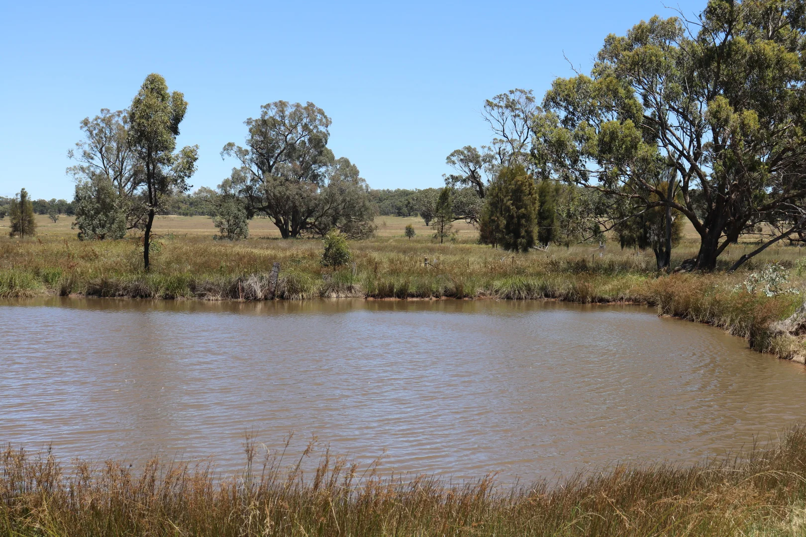Additional image 31 of 655 Boorr Hill Road, Parkes NSW 2870