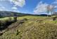 Additional image 35 of Churchill House, Inverneill, By Ardrishaig, Argyll