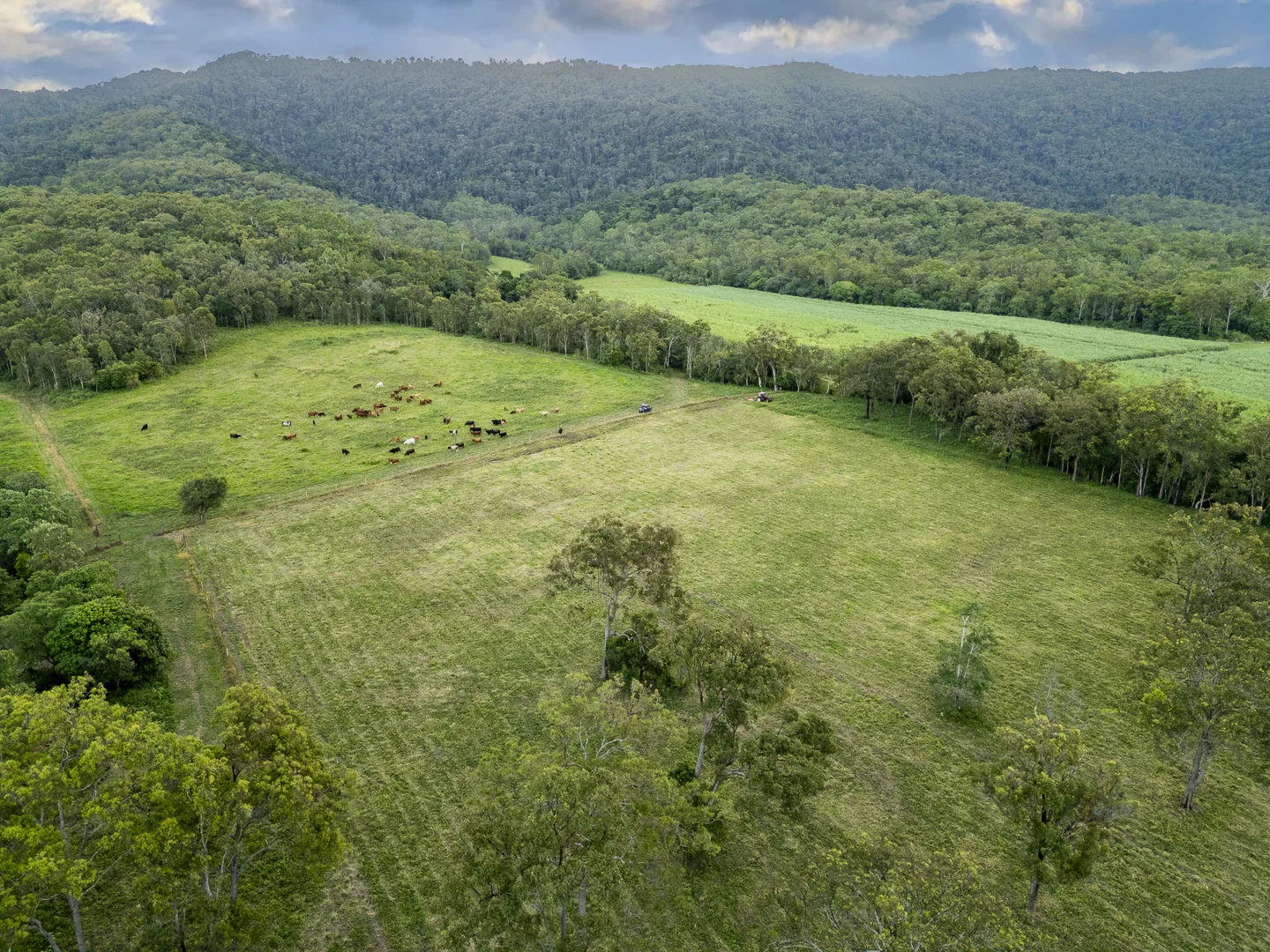 Additional image 16 of 24 Petersen Road, Koumala QLD 4738