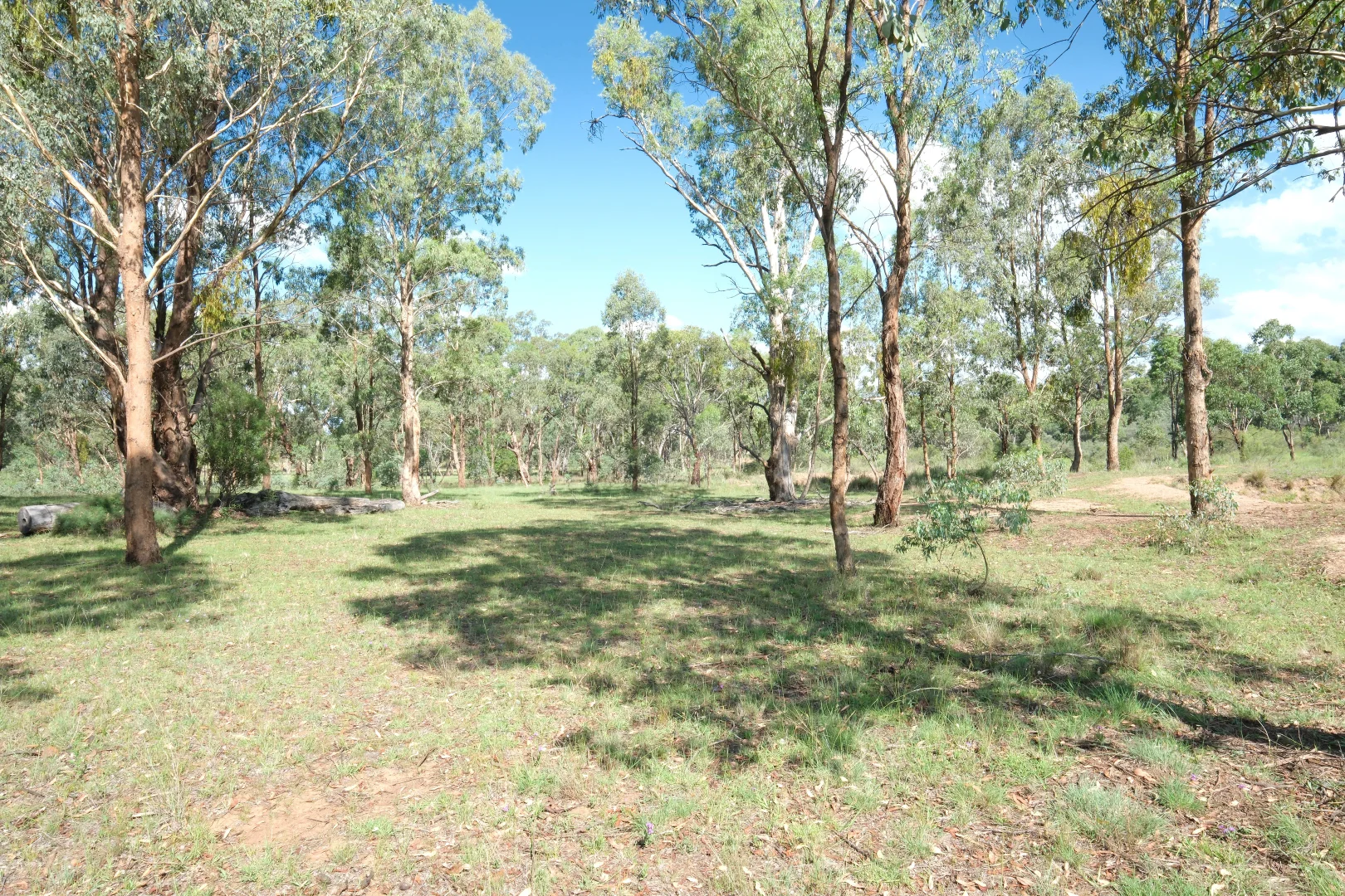 Additional image 3 of 1380 Elsmore Road (Elsmore), Inverell NSW 2360