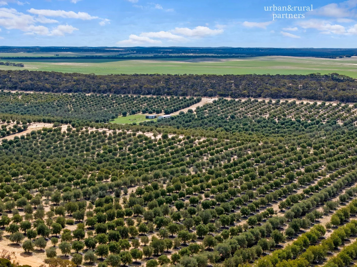 Additional image 19 of 1575 Kringin Road, Karte SA 5304