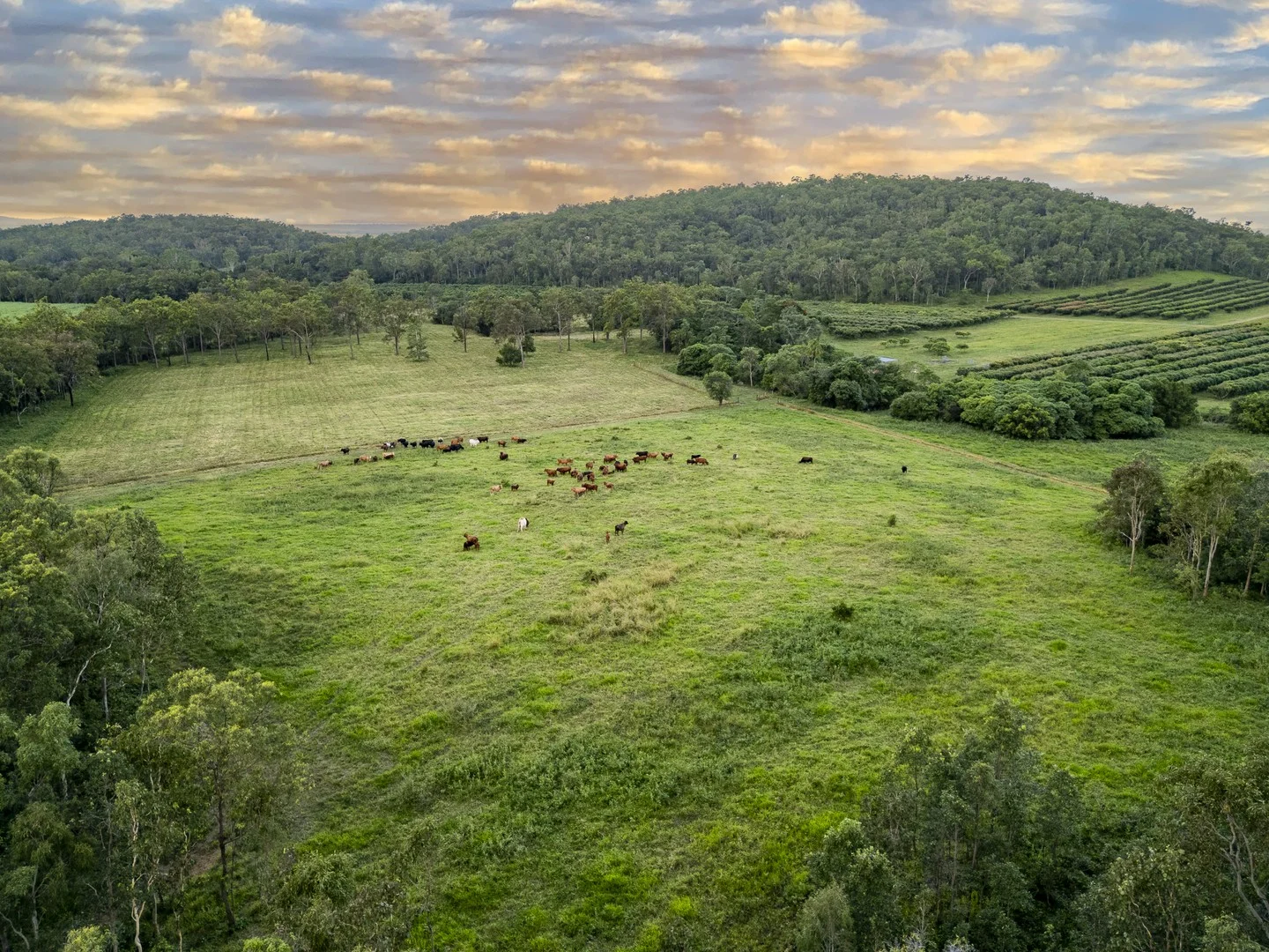 Additional image 10 of 24 Petersen Road, Koumala QLD 4738
