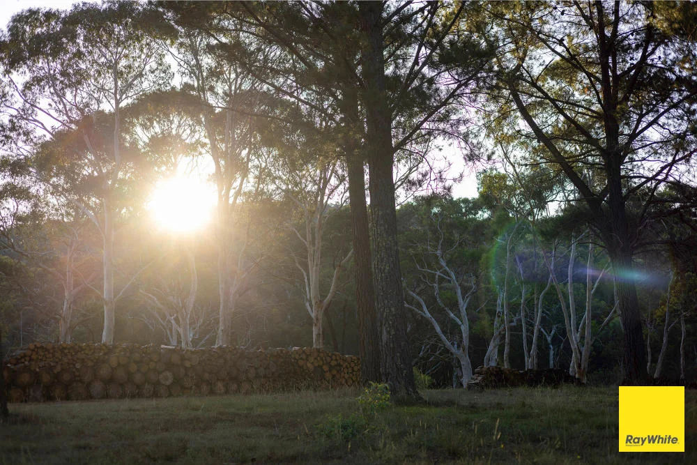 Additional image 21 of 270 Pine Bank Drive, Lower Boro NSW 2580