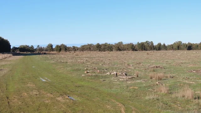 Additional image 3 of 225 Coles-Killanoola Road, Coles SA 5272