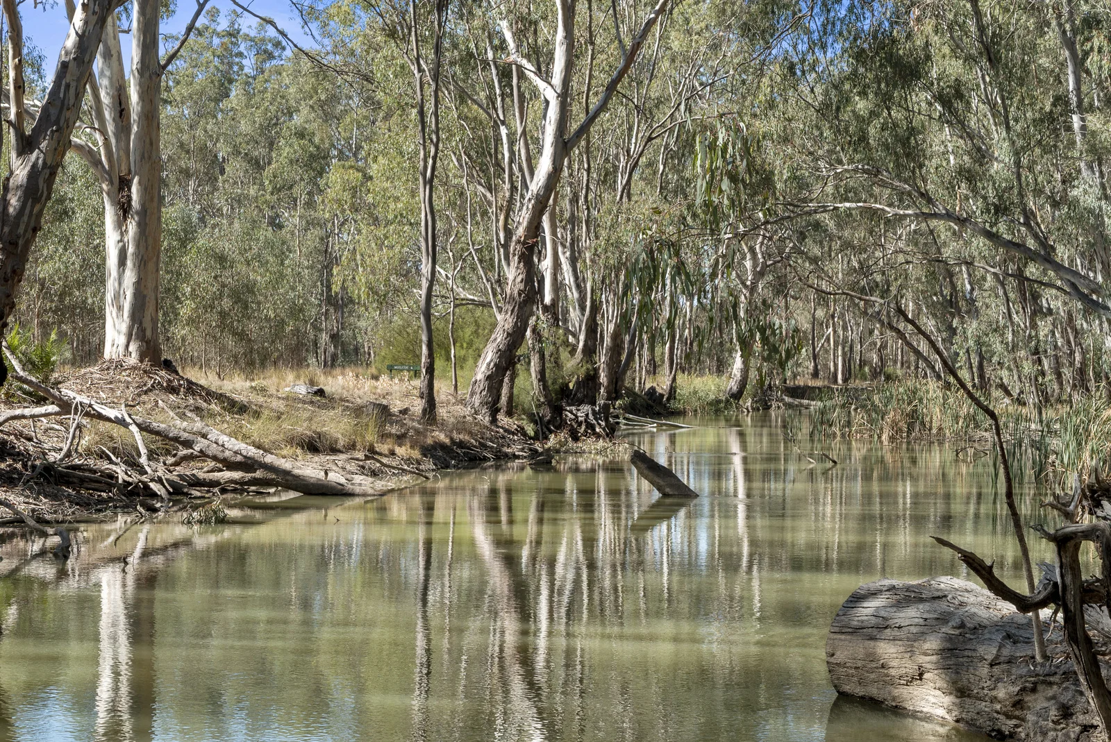 Additional image 6 of 4-20 Moama Street, Mathoura NSW 2710