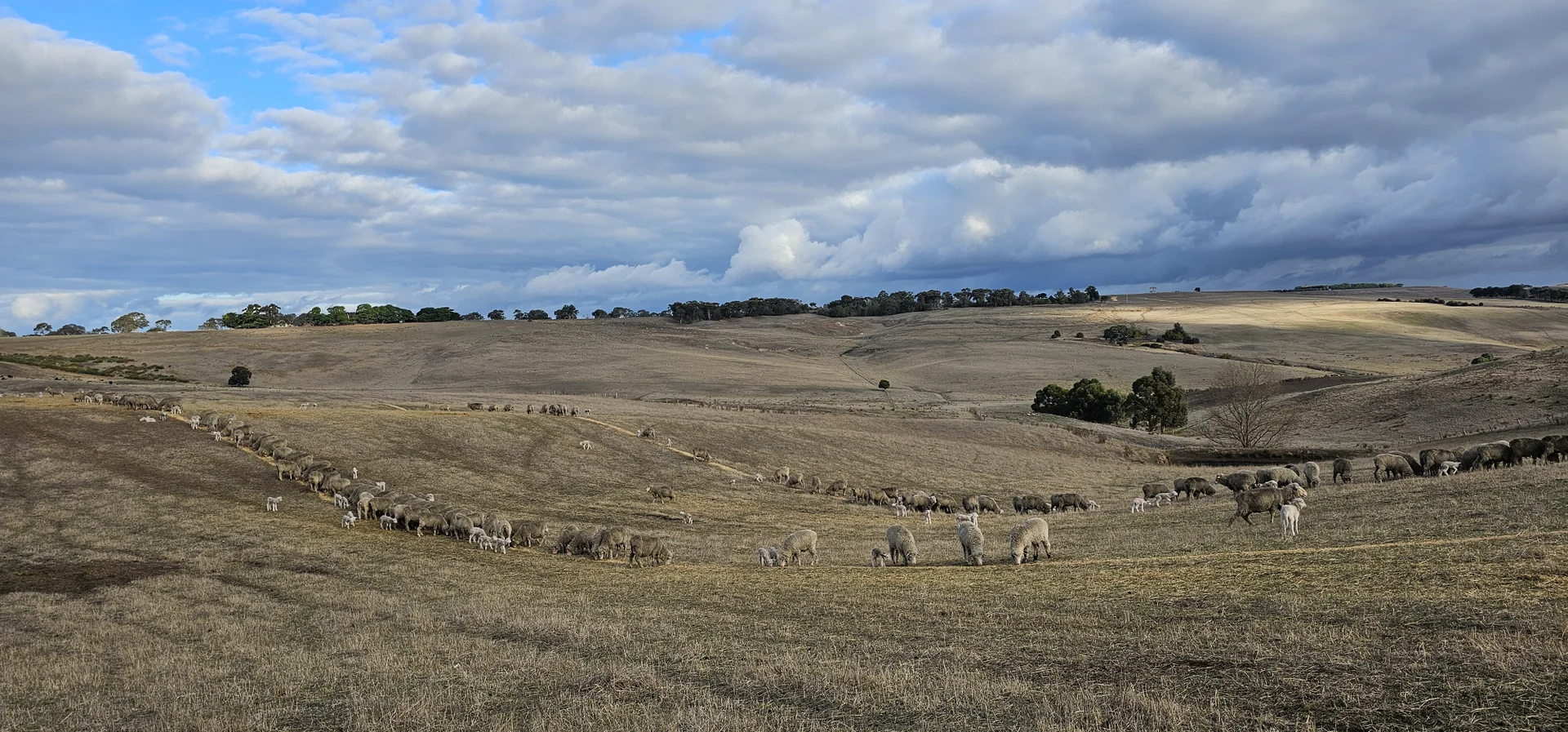 Additional image 2 of 53 Barnes Road, Coleraine VIC 3315