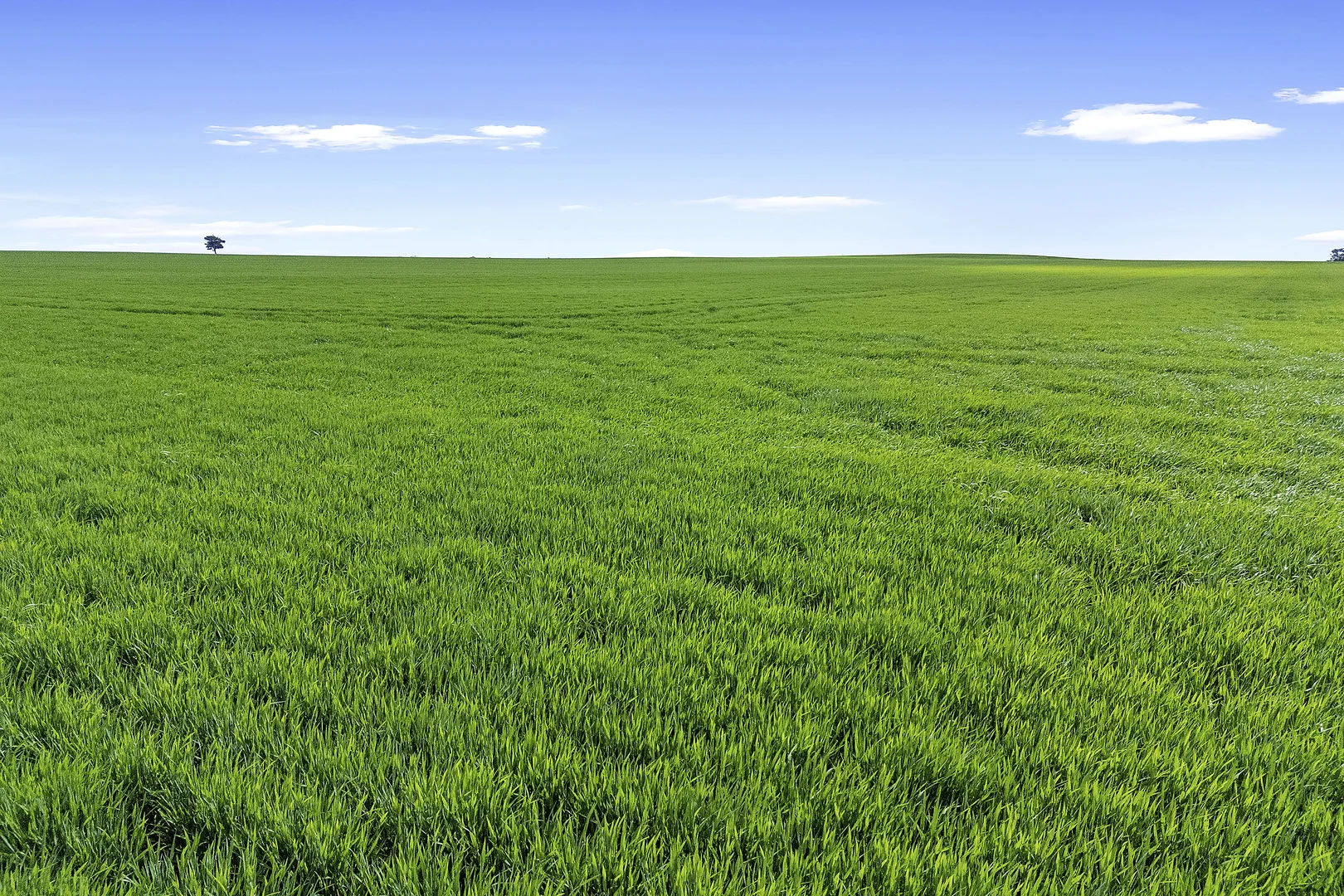 Additional image 6 of Rich Avon West VIC 3480