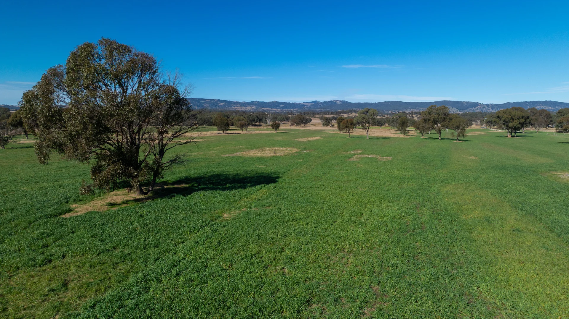 Additional image 20 of 214 Tarban Loop Road, Tenterfield NSW 2372