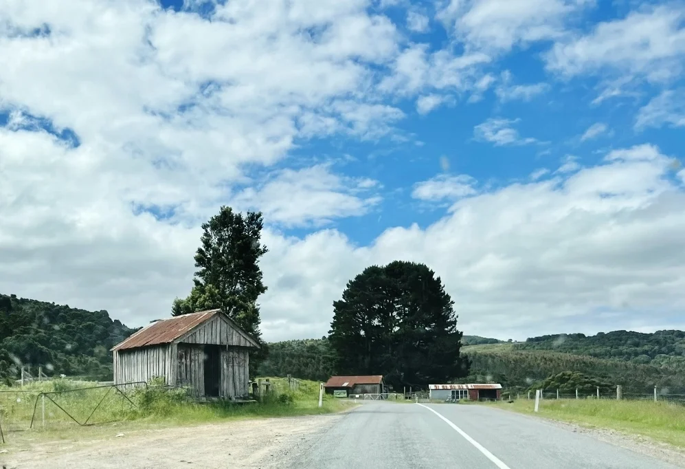 Additional image 4 of 29731 Tasman Highway, Weldborough TAS 7264