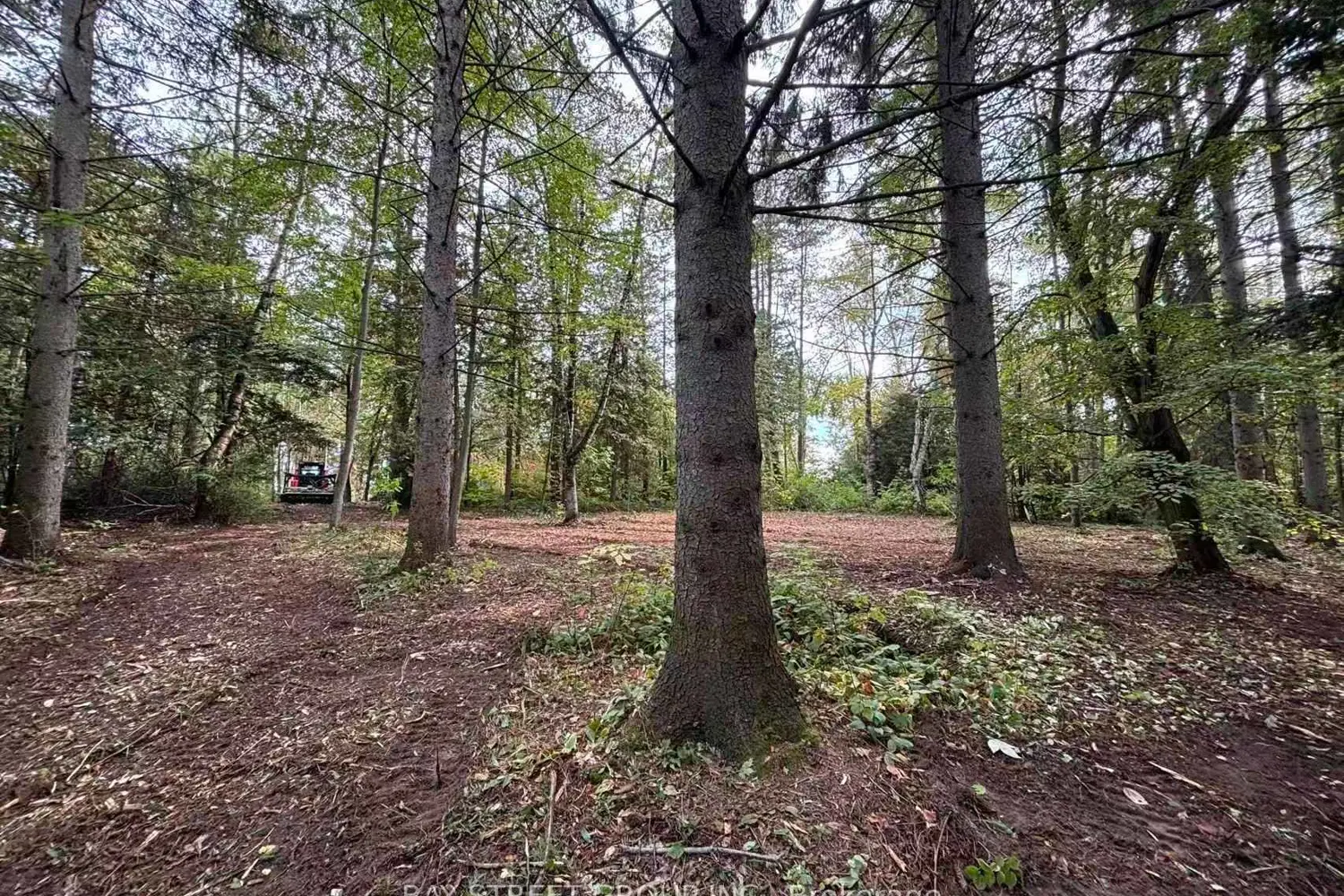 Additional image 2 of 3358 Crescent Harbour Road