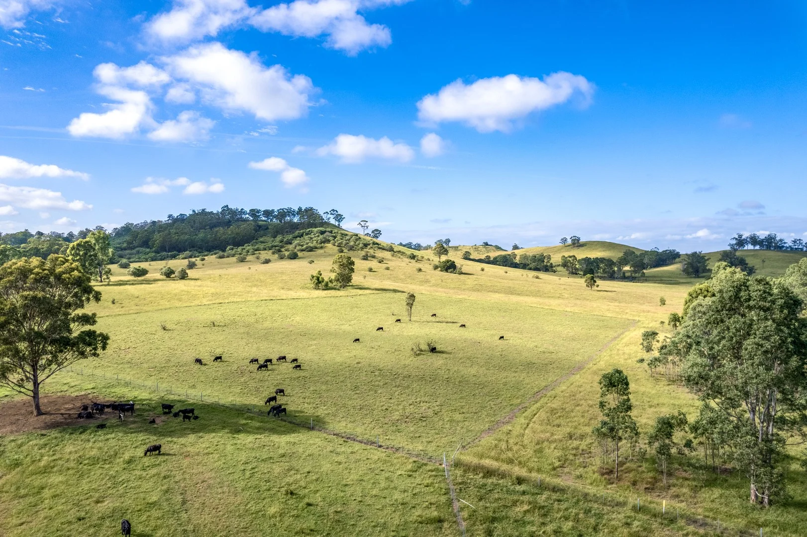 Additional image 4 of 420 Cut Hill Road, Cobbitty NSW 2570