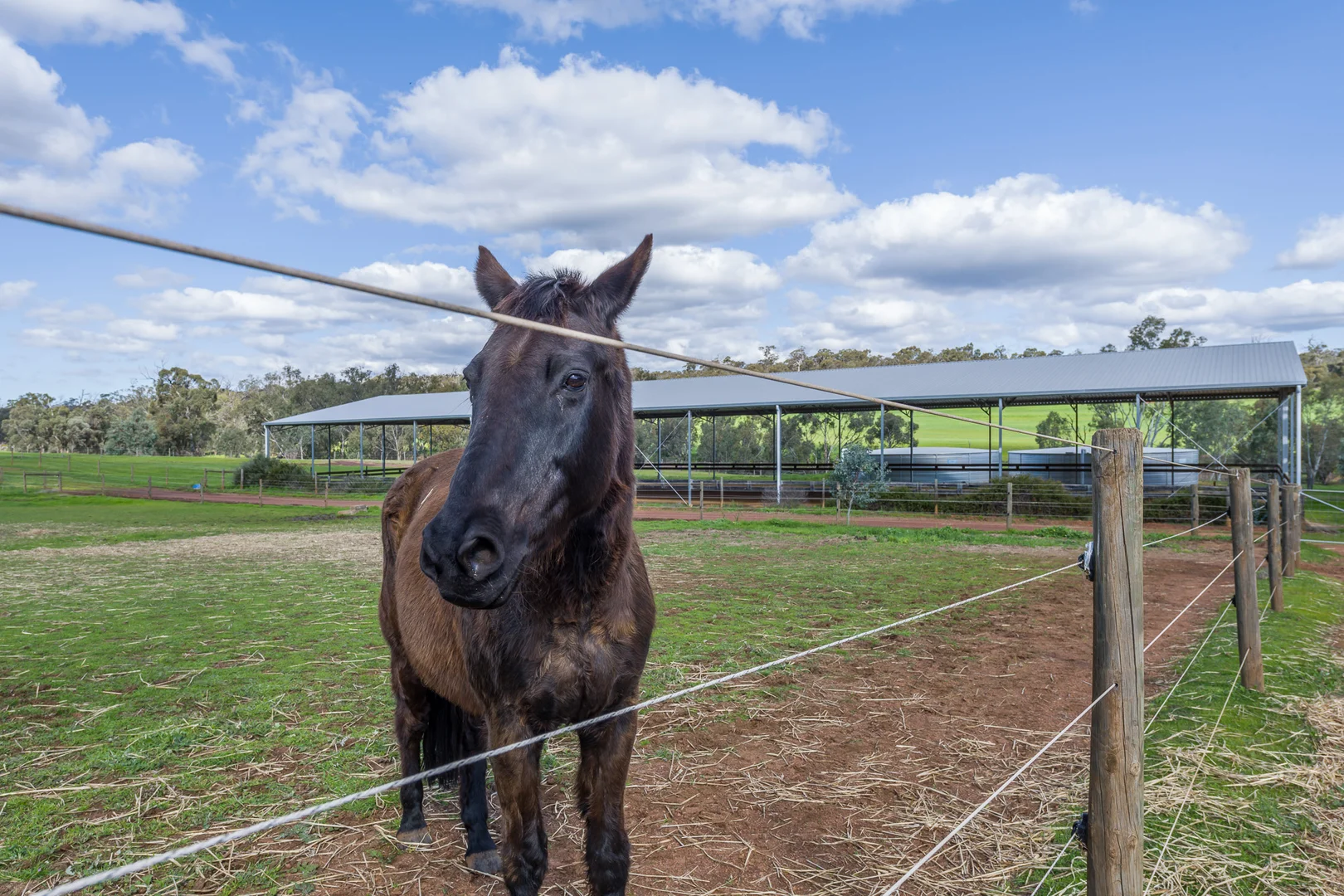 Additional image 56 of 3101 Bindoon-Dewars Pool Road, Bindoon WA 6502