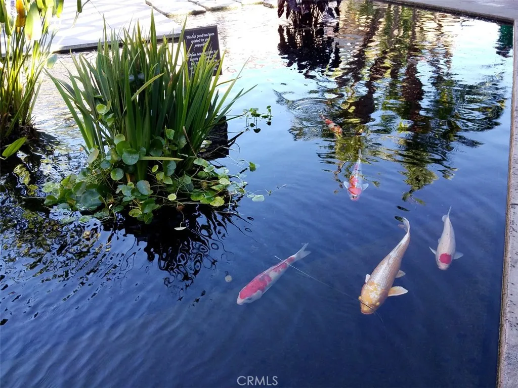 Additional image 72 of 859 Ronda Mendoza Unit D, Laguna Woods, CA 92637