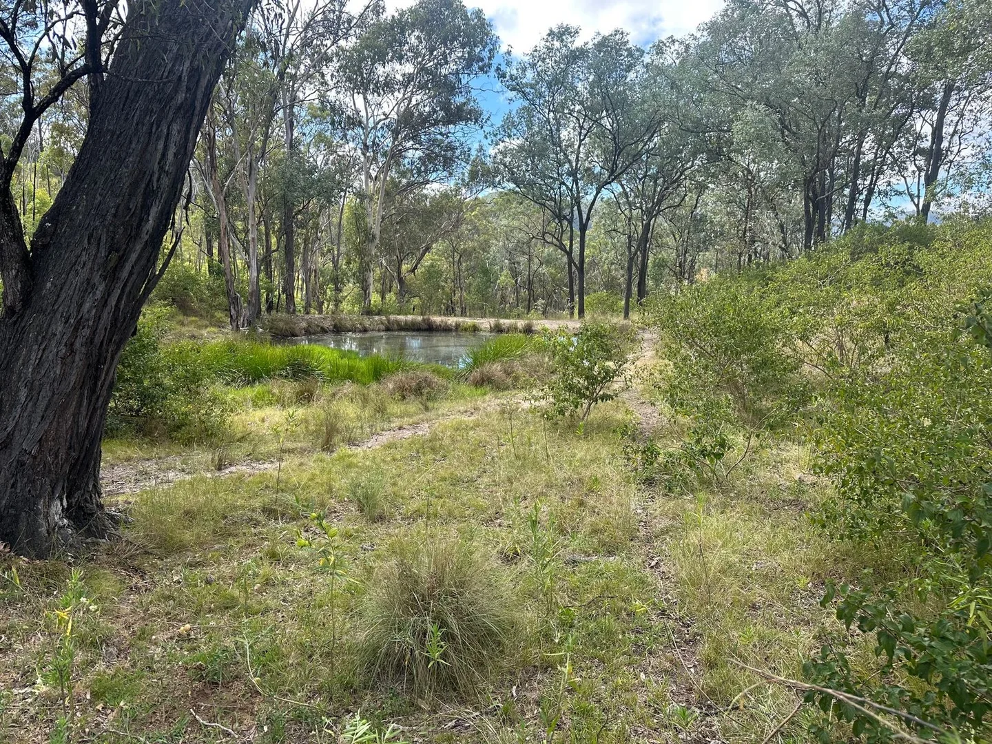 Additional image 9 of Lot 16 Bonner Road, Rivertree NSW 2372