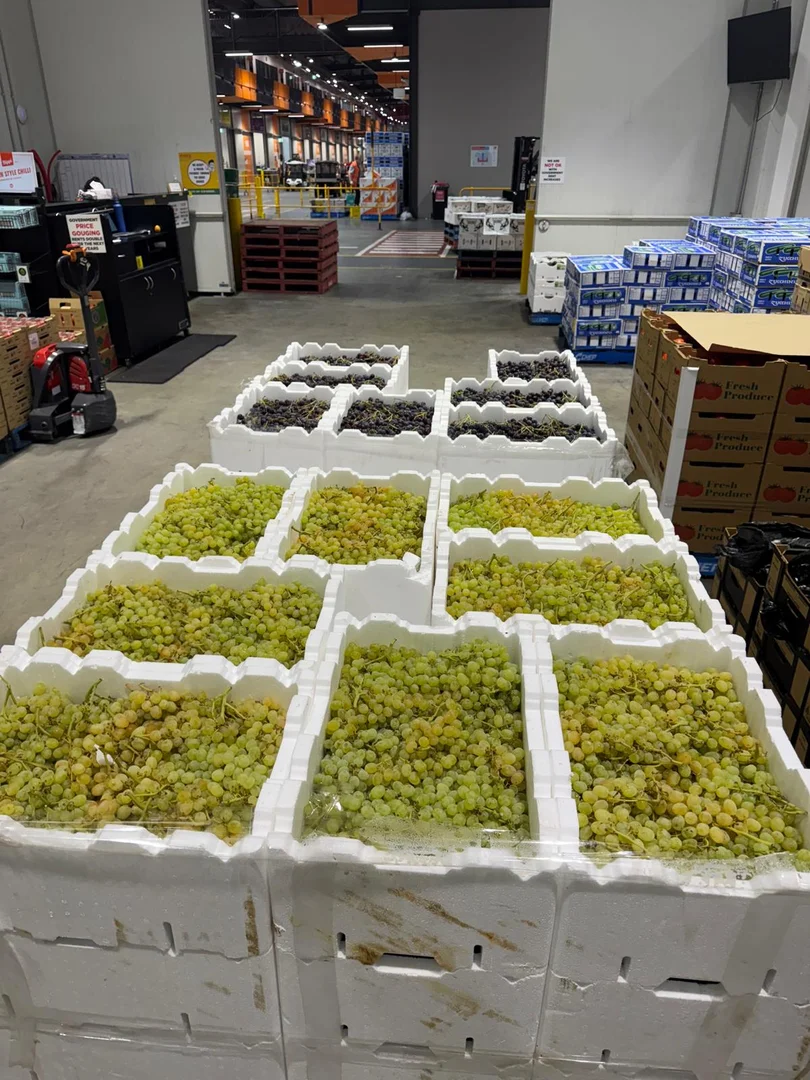 Additional image 4 of 231 Falkiner Avenue, Tresco VIC 3583