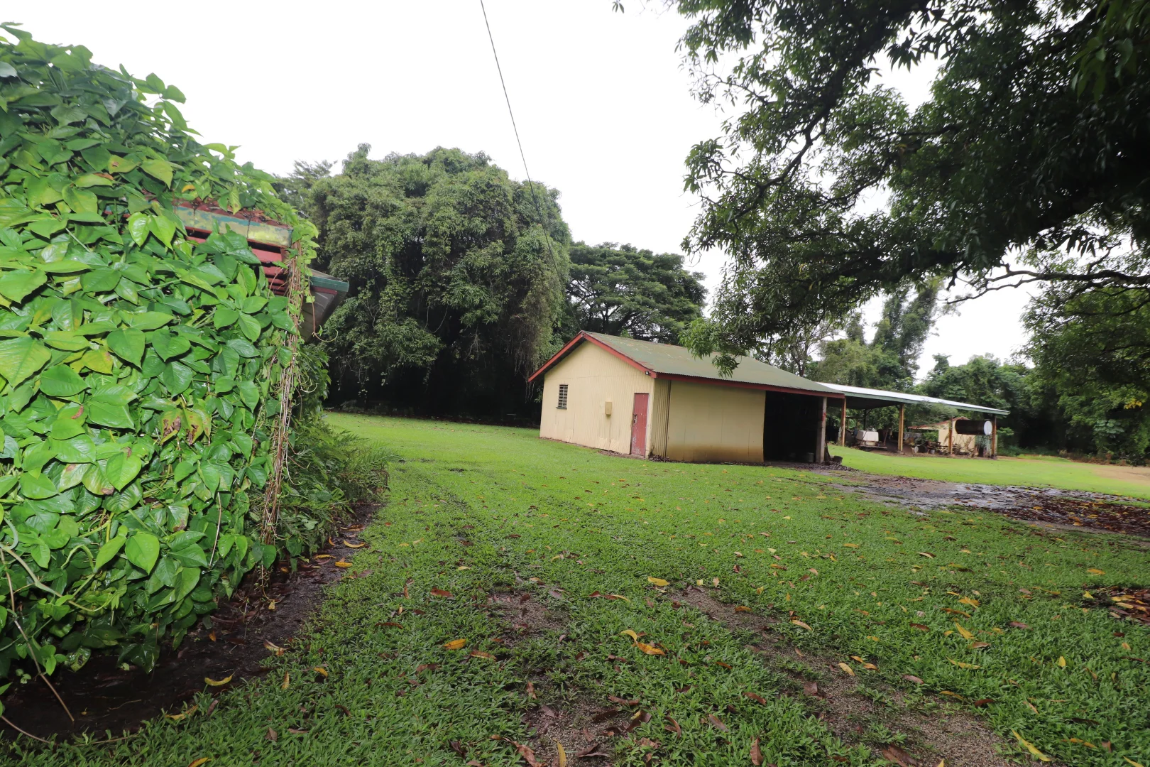 Additional image 21 of Lannercost Extension Rd, Lannercost QLD 4850