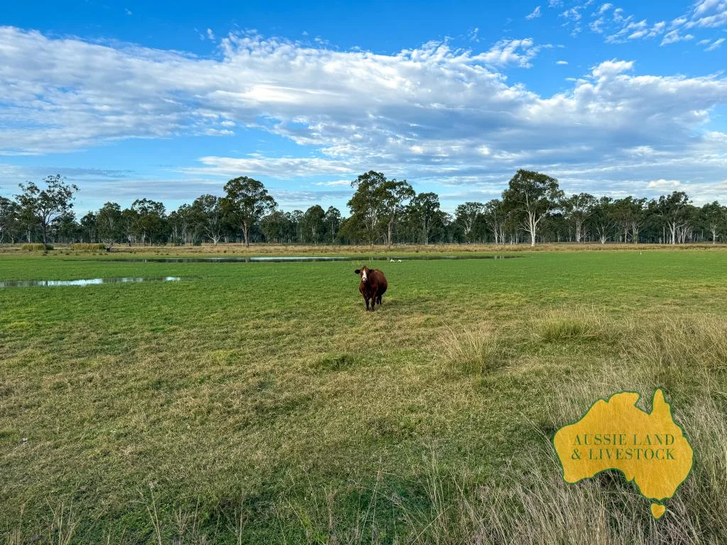 Additional image 5 of 8 SCREENING PLANT ROAD, Cynthia QLD 4627