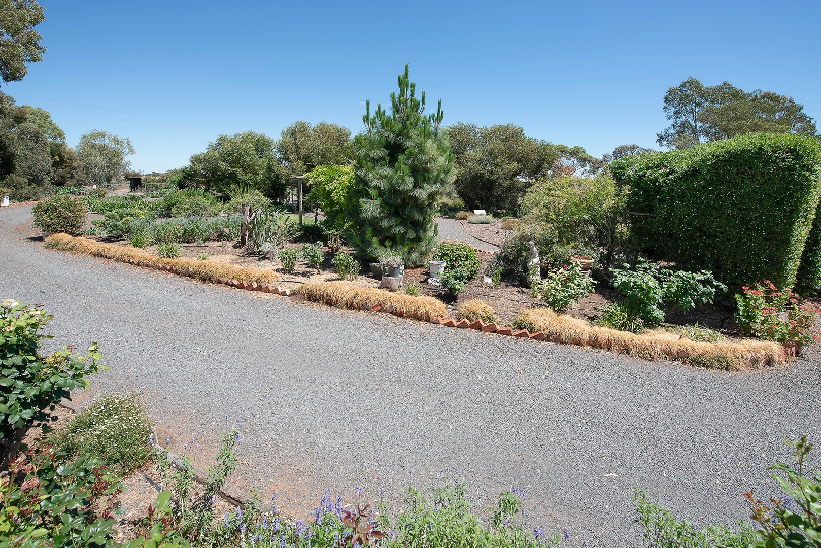 Additional image 36 of 169 Lakeside Drive, Lake Boga VIC 3584