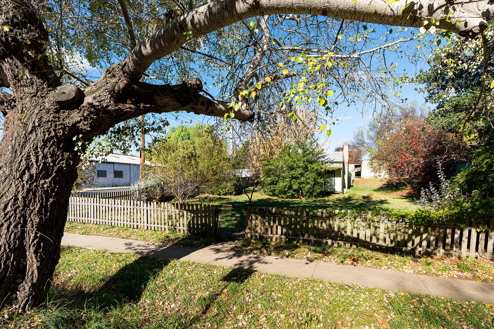 Additional image 11 of 47 Johnstone Street, Castlemaine VIC 3450