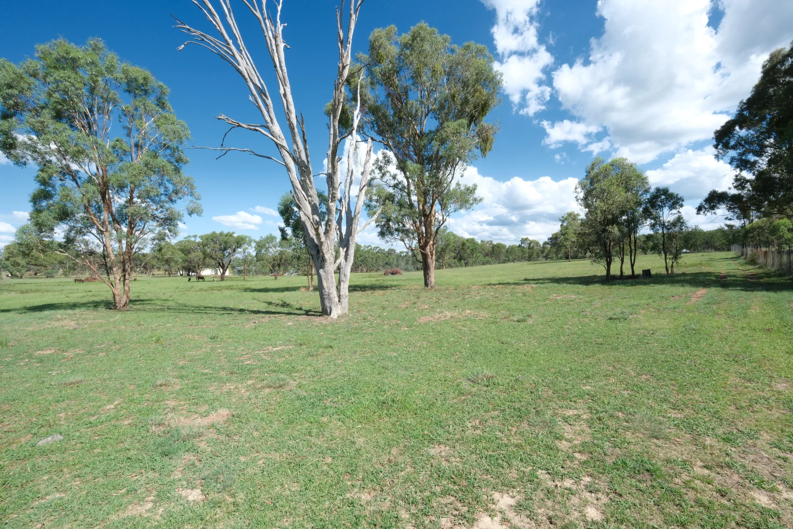 Additional image 5 of 1380 Elsmore Road (Elsmore), Inverell NSW 2360