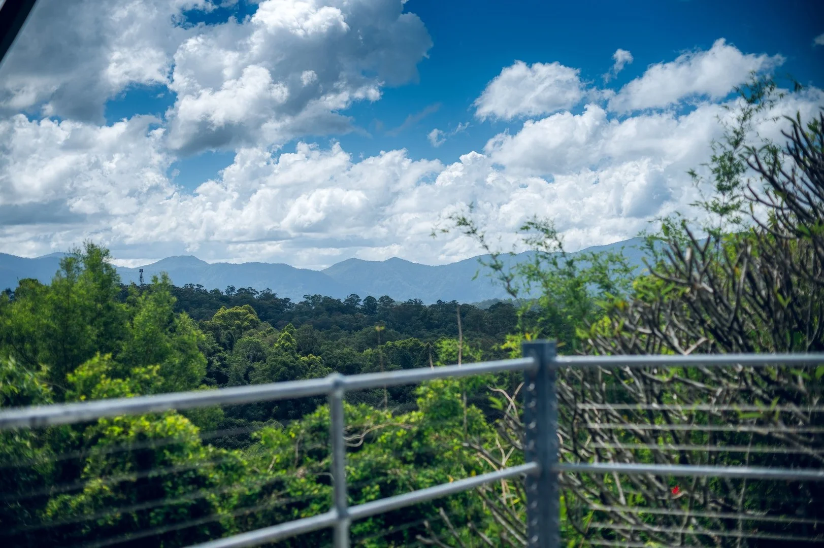 136 Bowraville Road, Bellingen NSW 2454