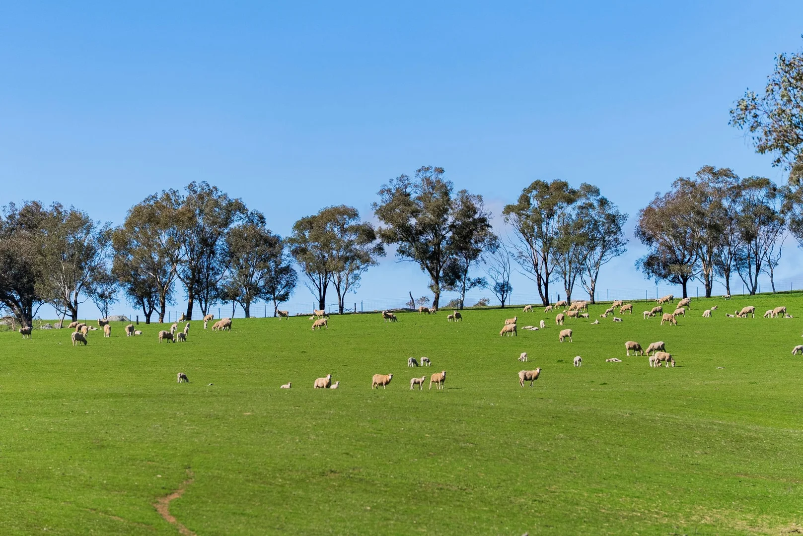 Additional image 37 of 670 Leahy Road, Wagga Wagga NSW 2650