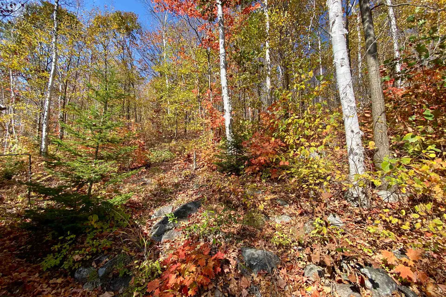 Additional image 14 of 0 Little Long Lake