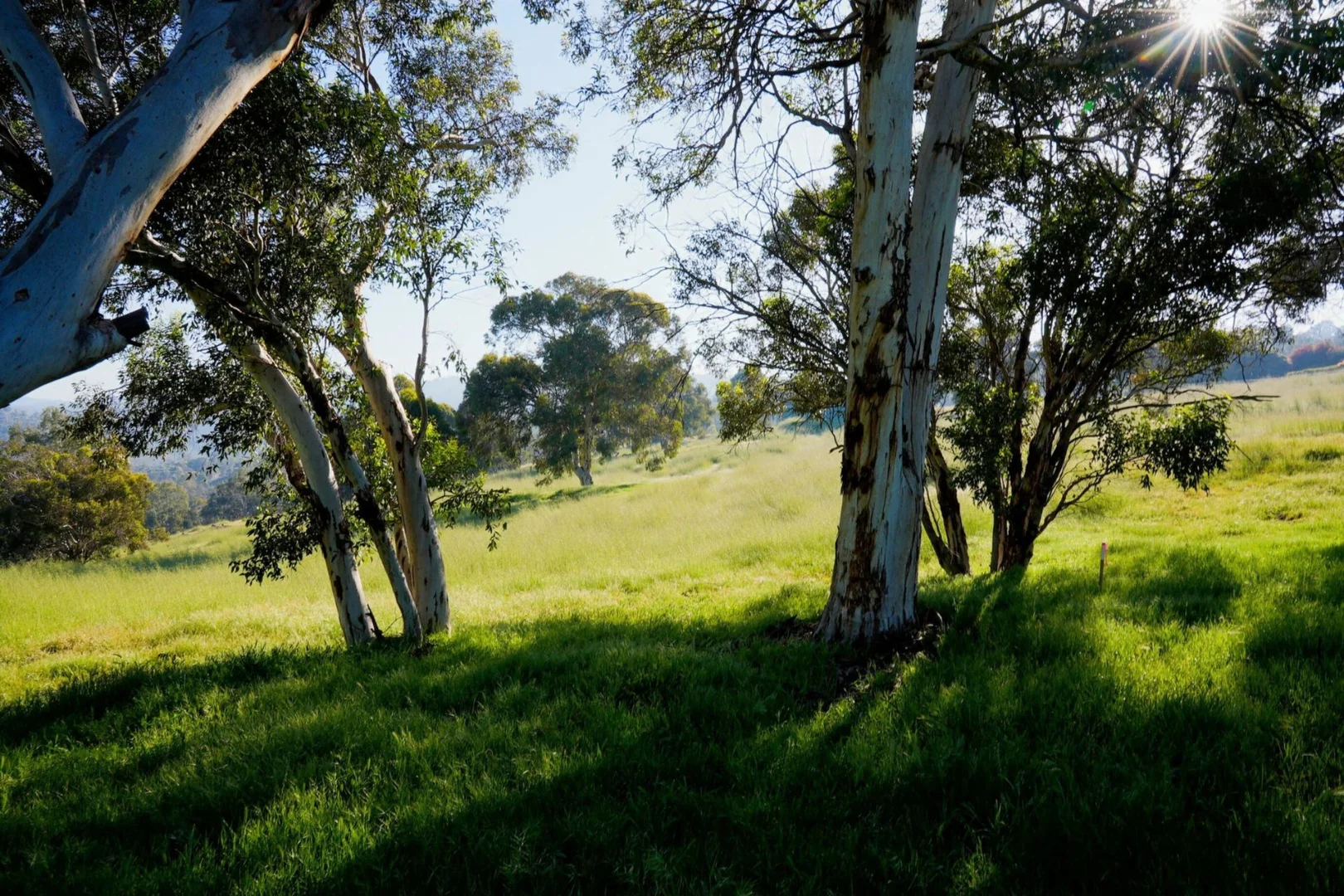 Additional image 11 of 839 Campersic Road, Brigadoon WA 6069