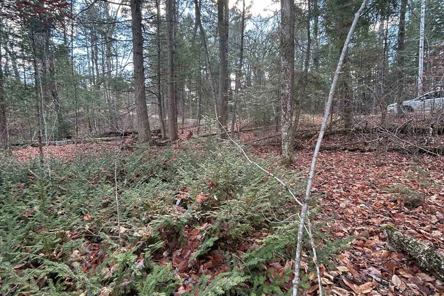 Additional image 6 of 0 Mill Lake Road